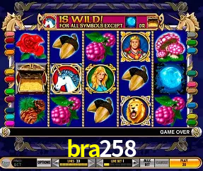 Roulette Table bra258